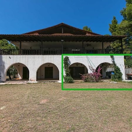 Chalkidiki Beachfront Haven - Perfect Location Nikiti  Exteriör bild