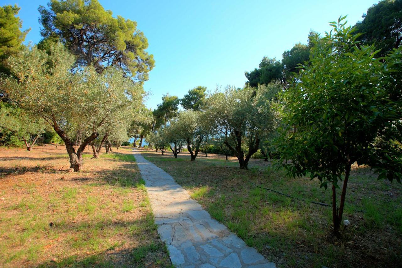 Chalkidiki Beachfront Haven - Perfect Location Nikiti  Exteriör bild